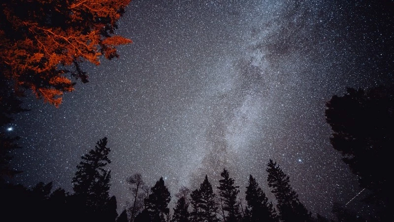 Гороскоп на неделю с 8 по 14 января 2024 года: кого ждут перемены, а кого — успех