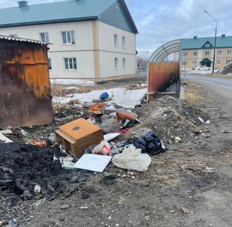 «Чистая страна»