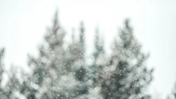 Погода в Сахалинской области 8 февраля: сильный мороз и снег