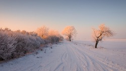 Церковный праздник 16 февраля 2024: что нельзя делать, приметы