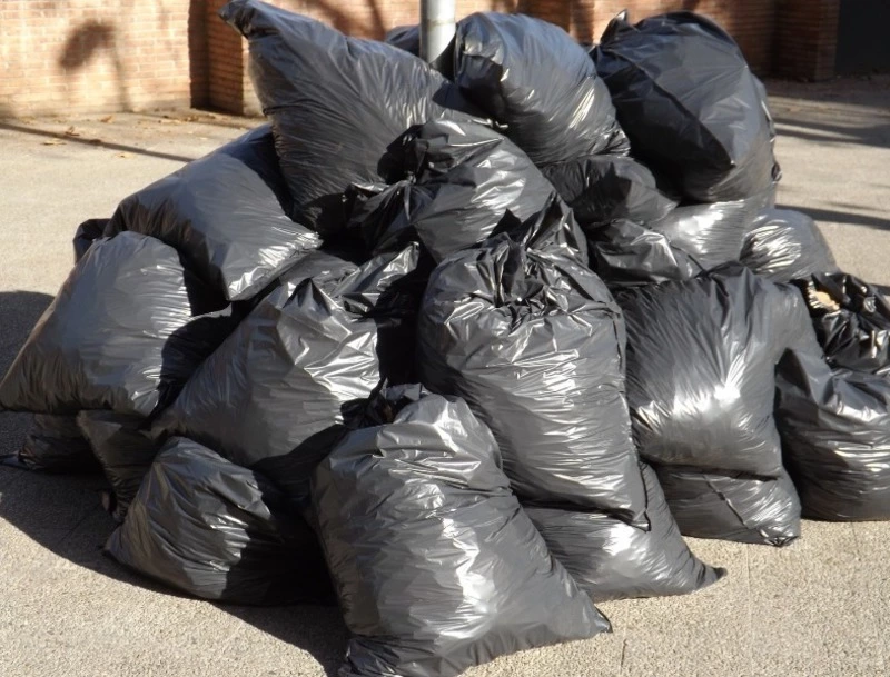 Глобальная уборка позади: как программа «Чистые острова» изменила Сахалинскую область