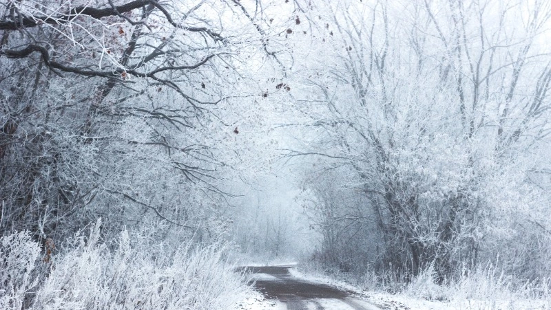 Дожди и ветер с порывами до 18 м/с: прогноз погоды в Сахалинской области на 7 декабря