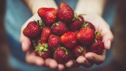 Идеальная фигура к Новому году 2024: чек-лист с полезными советами      