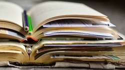 Тест на знания: ваша эрудиция достигла максимума, если ответите 9/9