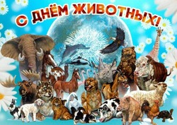Всемирный день защиты животных 2024: милые картинки для поздравлений  