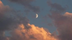 Новолуние в июне 2024 года: дата, как повлияет на знаки зодиака