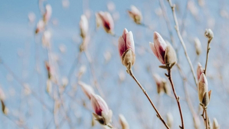 Народные приметы на 21 мая 2024 года: что строго нельзя делать