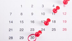 Расписание выходных и праздничных дней в 2024 году: сколько будем отдыхать           