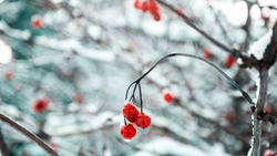 Церковный праздник 6 февраля 2024: что нельзя делать, приметы 