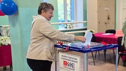 Политолог: первый день выборов на Сахалине и Курилах прошел в спокойной обстановке