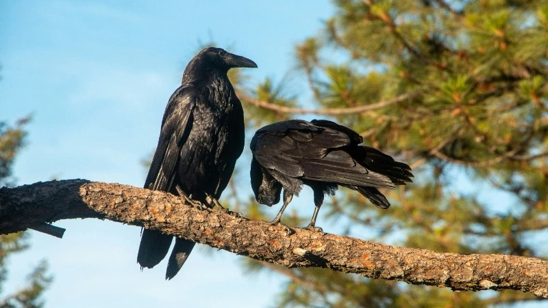 Народные приметы на 27 апреля 2024 года: что строго нельзя делать 