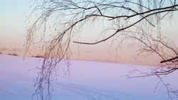 Народные приметы на 1 декабря 2023 года: что строго нельзя делать