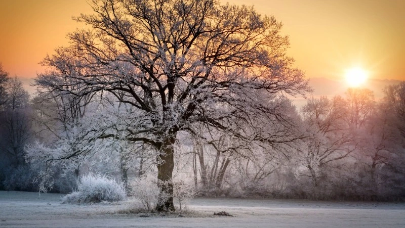 Народные приметы на 29 марта 2024 года: что строго нельзя делать 