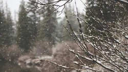 Прогноз погоды в Сахалинской области на 28 февраля: без осадков и до -30 градусов