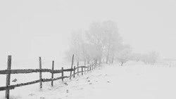 Сильная метель обрушится на Сахалин и Курилы 25 января    