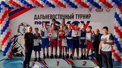 Дальневосточный турнир по боксу,  посвященный памяти мастера спорта СССР В.П. Лихогра