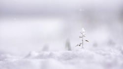 Снег и сильный мороз: прогноз погоды в Сахалинской области на 9 февраля