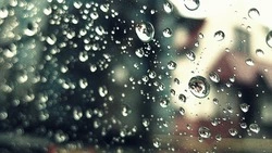 Небольшой дождь и +25 градусов: синоптики рассказали о погоде в Сахалинской области 1 августа 