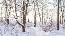 Церковный праздник 9 февраля 2024: что нельзя делать, приметы 