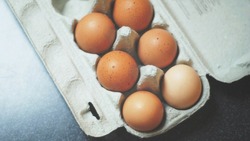 ТОП-4 полезных свойства куриных яиц: сколько их нужно есть в день  