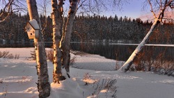 Церковный праздник 20 февраля 2024: что нельзя делать, приметы 
