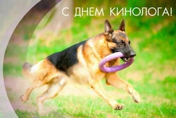 День кинолога 2024: красивые картинки и открытки 