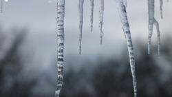 Прогноз погоды в Сахалинской области на 4 апреля: осадки и до +8 градусов      