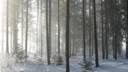 Церковный праздник 22 февраля 2024: что нельзя делать, приметы 