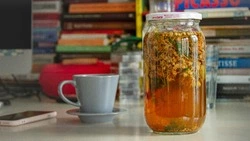 Кладезь витаминов: почему всем нужно пить липовый чай 