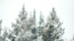 Погода в Сахалинской области 8 февраля: сильный мороз и снег