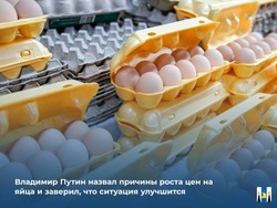 Владимир Путин назвал причины роста цен на яйца и заверил, что ситуация улучшится