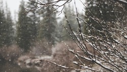 Прогноз погоды в Сахалинской области на 28 февраля: без осадков и до -30 градусов