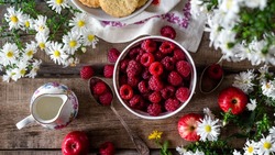 Как получить большой урожай малины: 7 основных советов