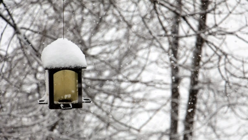 Народные приметы на 4 января 2024 года: что строго нельзя делать