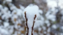 Какая погода ожидается на Сахалине и Курилах 14 февраля 