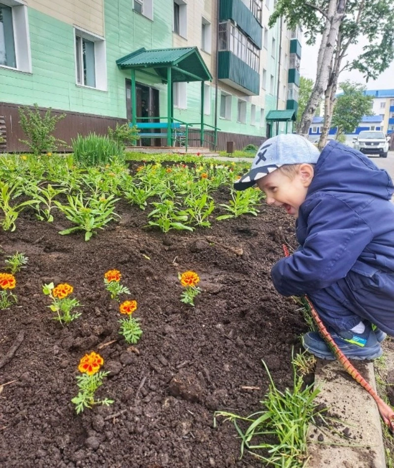 Повышение уровня экологического состояния дворов