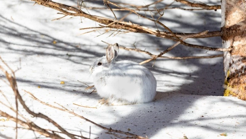 Народные приметы на 12 марта 2024 года: что строго нельзя делать 