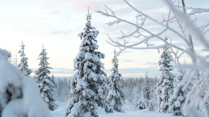 Народные приметы на 2 февраля 2024 года: что строго нельзя делать 