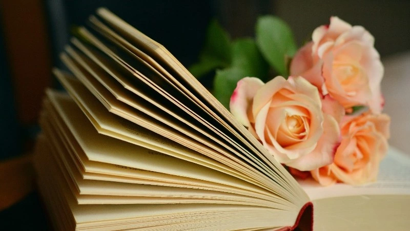 7 сильных цитат из романа «Мастер и Маргарита»: актуальны сейчас, как никогда 