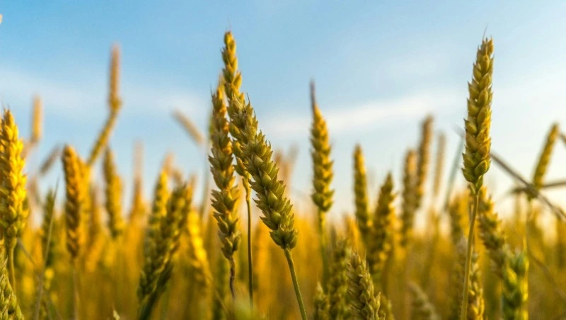 Народные приметы на 7 мая 2024 года: что строго нельзя делать 