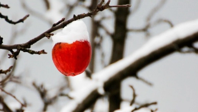 Народные приметы на 22 февраля 2024 года: что строго нельзя делать 