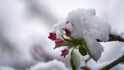 Церковный праздник 14 февраля 2024: что нельзя делать, приметы  