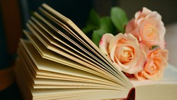 7 сильных цитат из романа «Мастер и Маргарита»: актуальны сейчас, как никогда 