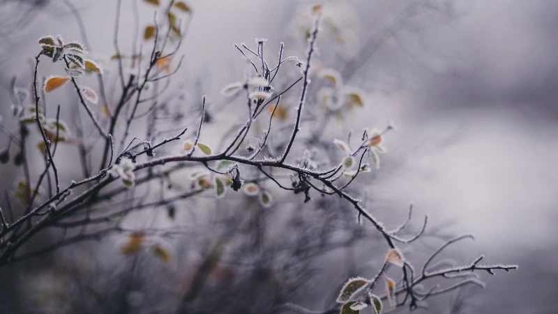 Церковный праздник 16 января 2024 года: что строго нельзя делать в этот день