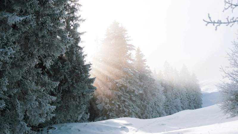 Церковный праздник 7 февраля 2024: что нельзя делать, приметы 