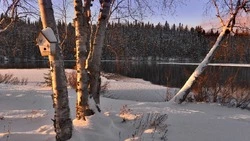 Церковный праздник 20 февраля 2024: что нельзя делать, приметы 