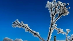 Неглубокие циклоны и плюсовые отметки: погода в Сахалинской области на неделю