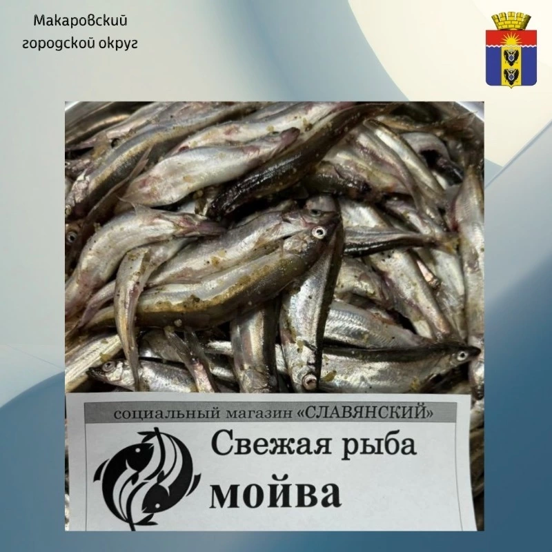«Забота. Защита. Уважение»