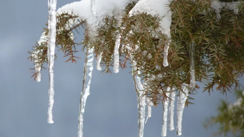 Народные приметы на 19 марта 2024 года: что строго нельзя делать 