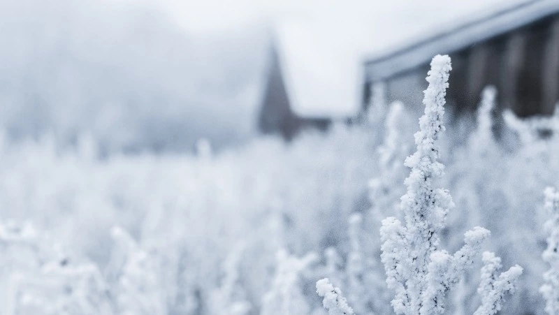 Церковный праздник 21 декабря 2023: что нельзя делать, приметы